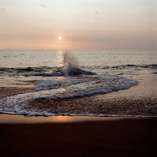 Wave